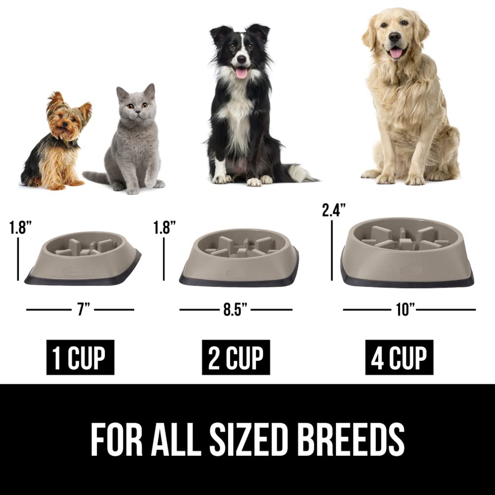 GORILLA GRIP bol lent dimensions 21 cm adaptées à la plupart des animaux
