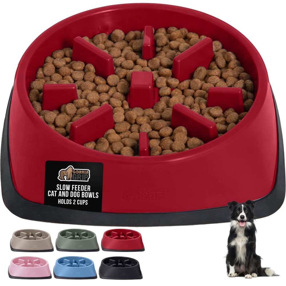 Bol lent Gorilla Grip avec puzzle interactif pour chiens et chats, idéal pour les repas.