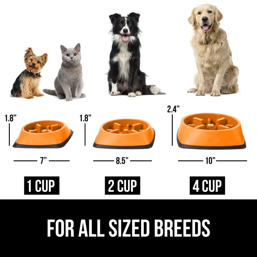 Gorilla Grip bol portion idéale petits chiens: convient aux portions adaptées pour chiens de petites races