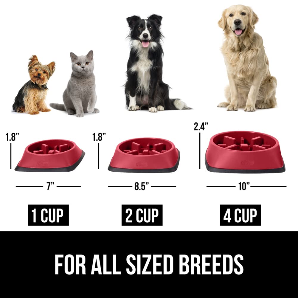 Taille 2 tasses offre une portion adaptée aux besoins.