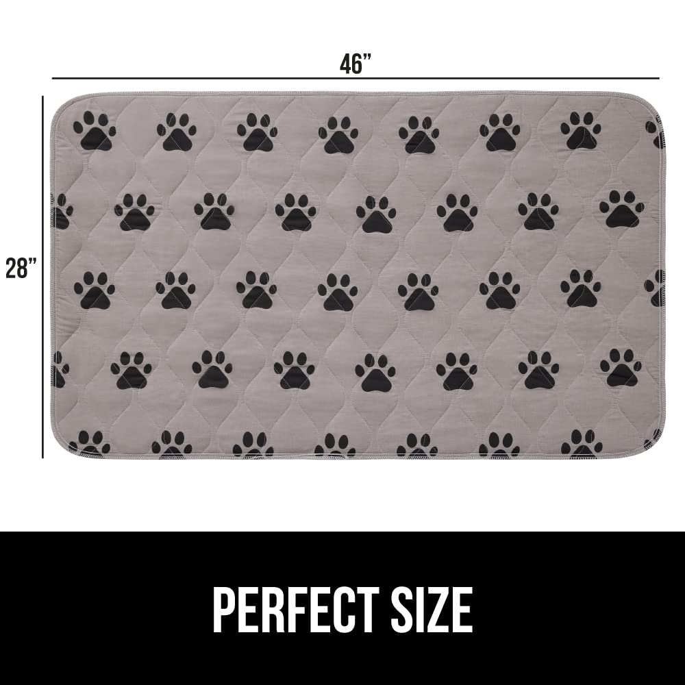Confort doux et agréable pour les chiots en formation.