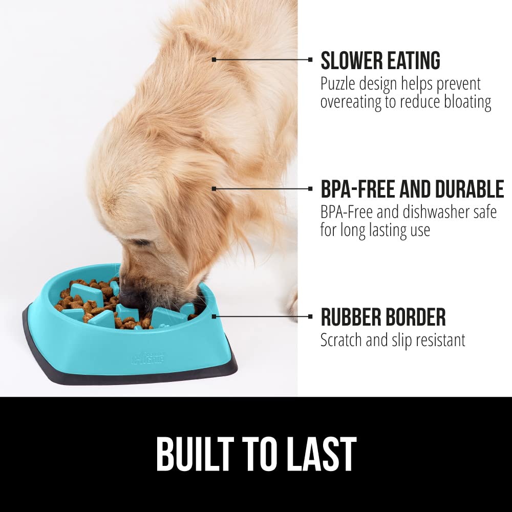 Gorilla Grip gamelle lente énigme chat turquoise, transforme le repas en jeu interactif.
