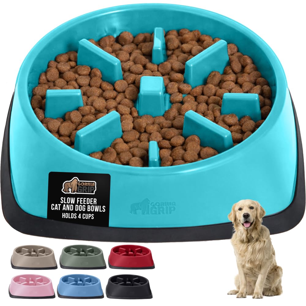 Gorilla Grip gamelle lente énigme chien turquoise, ralentit l’alimentation et Stimule l’engagement.