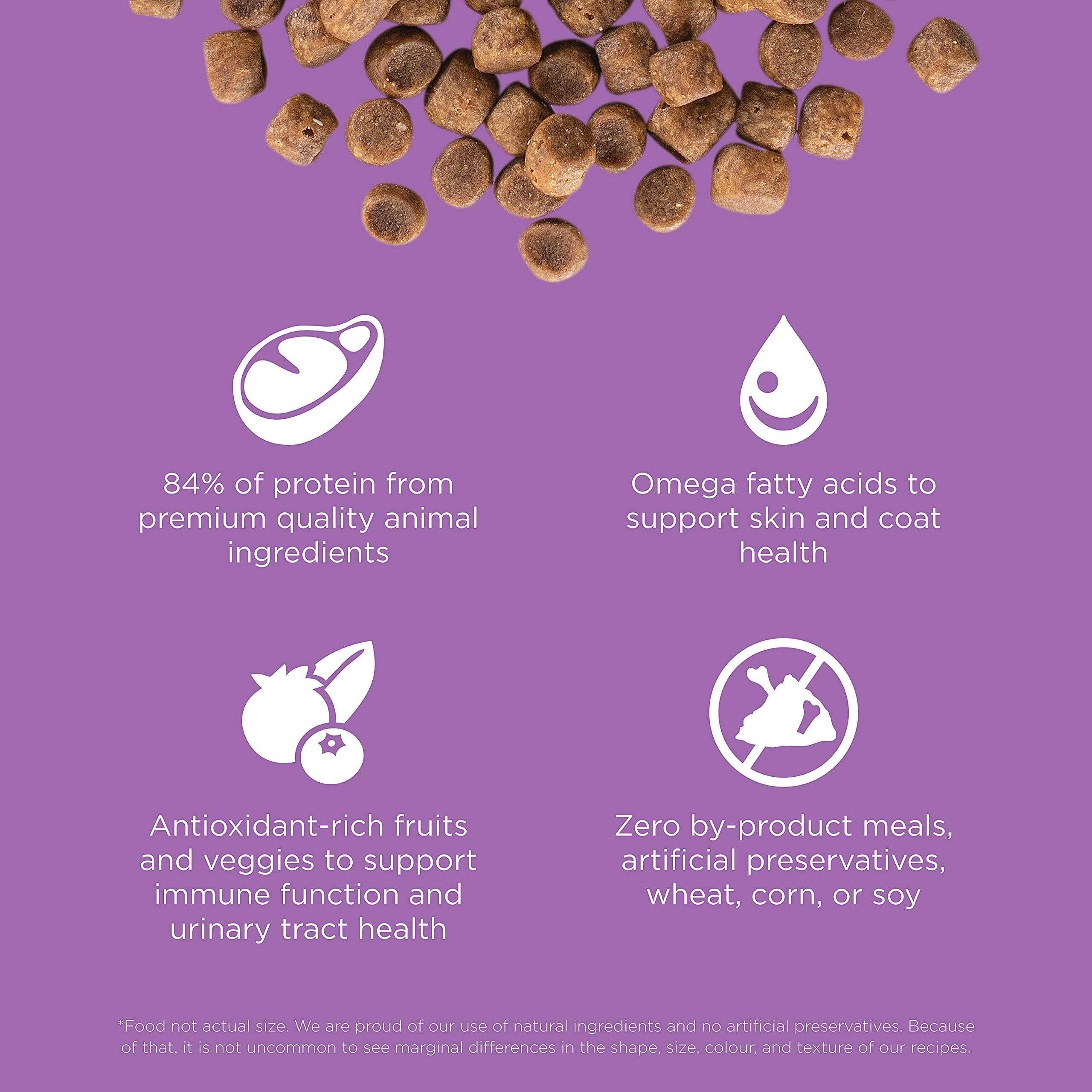 Go! Solutions Carnivore 11 ingredients animaux pour repas appetissant