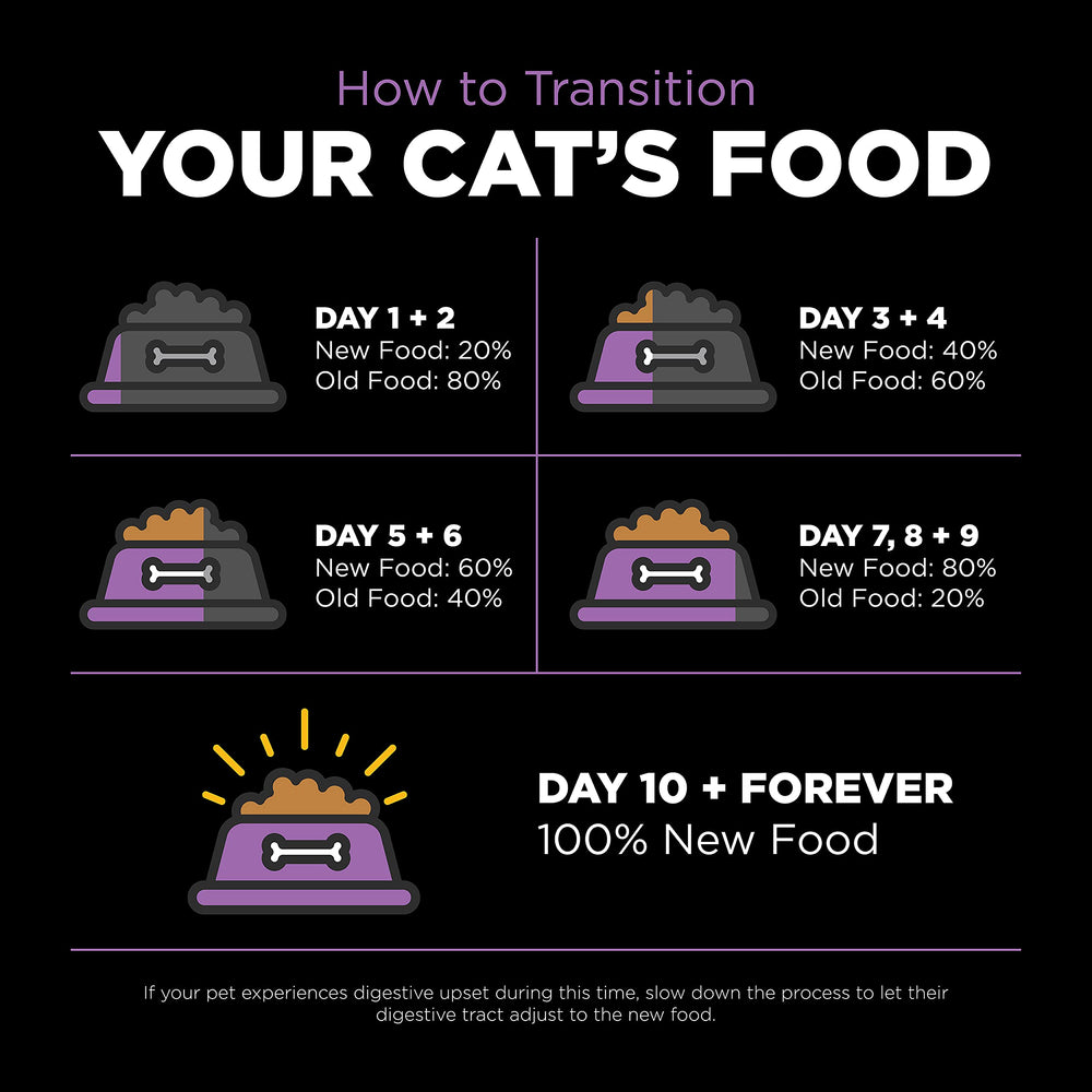 Go! Solutions Carnivore pour tous les stades vie chaton adulte senior
