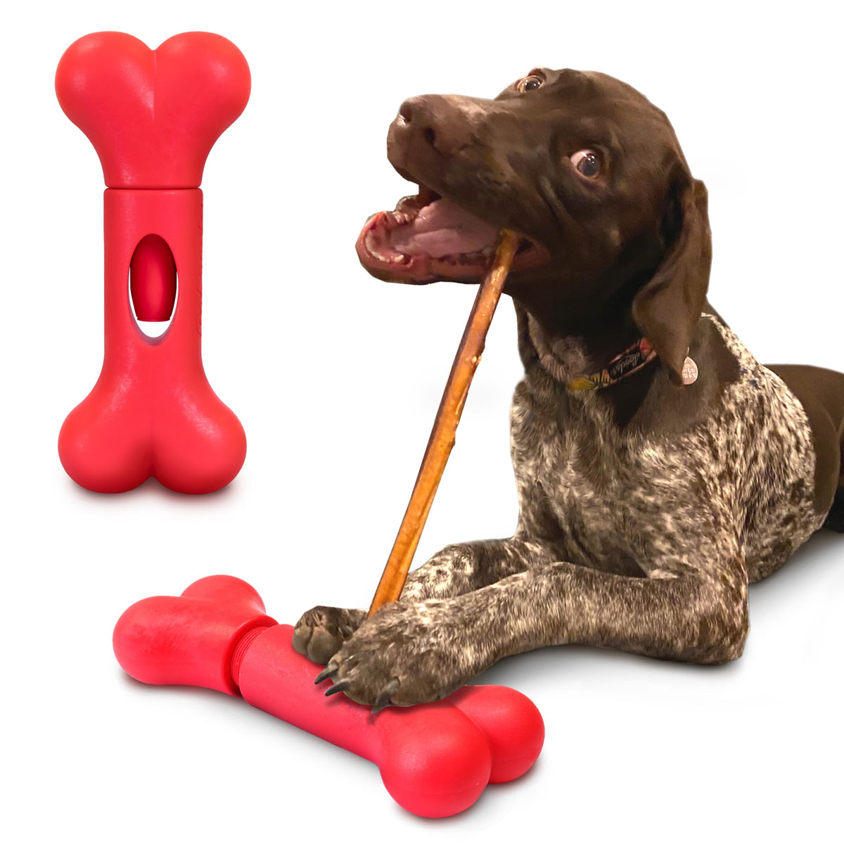 GoSports Chew Champ montre le support-bâton-bully pour chiens actifs et rassurants