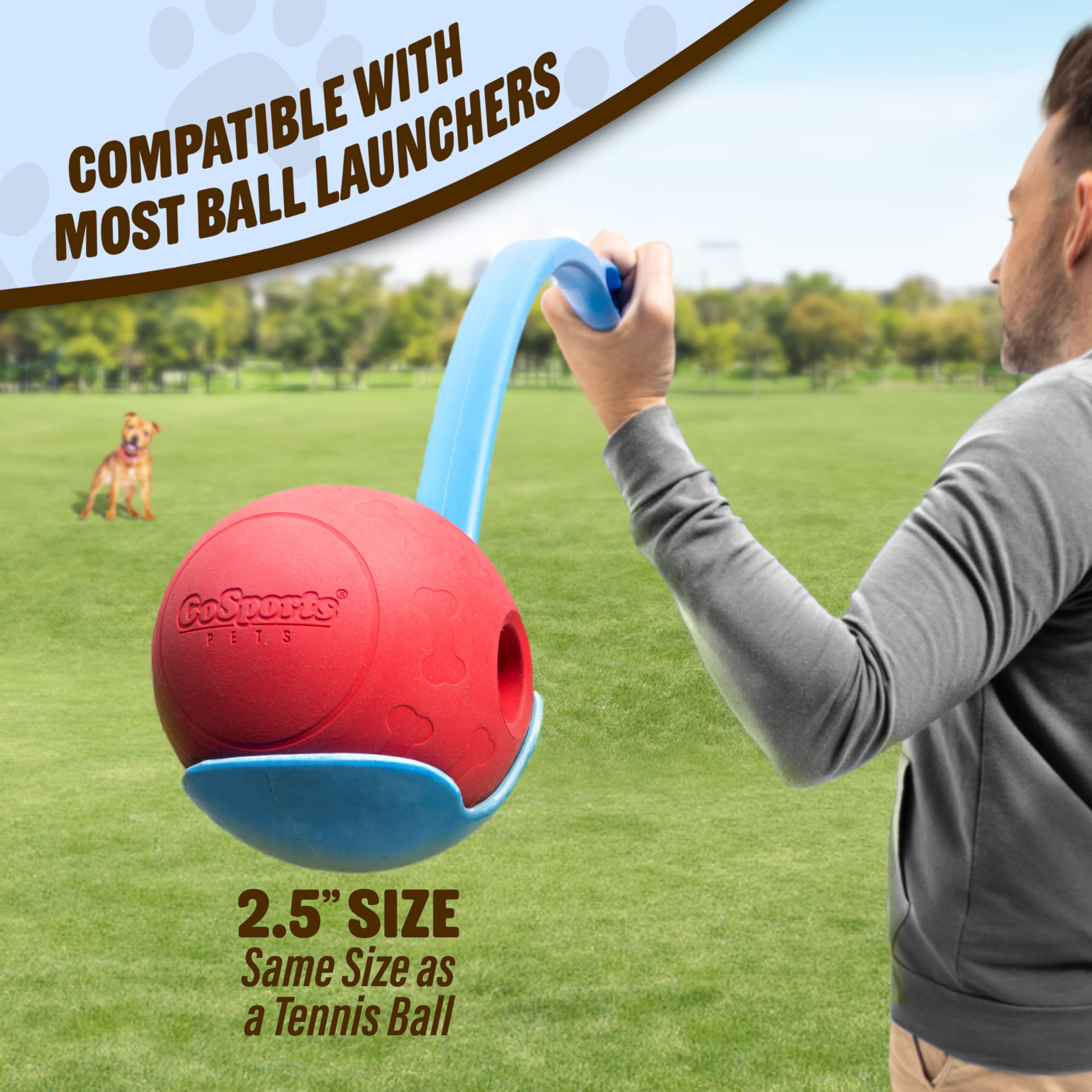 Balle GoSports Pets 3-pack, caoutchouc solide pour chiens qui mâchent fort.