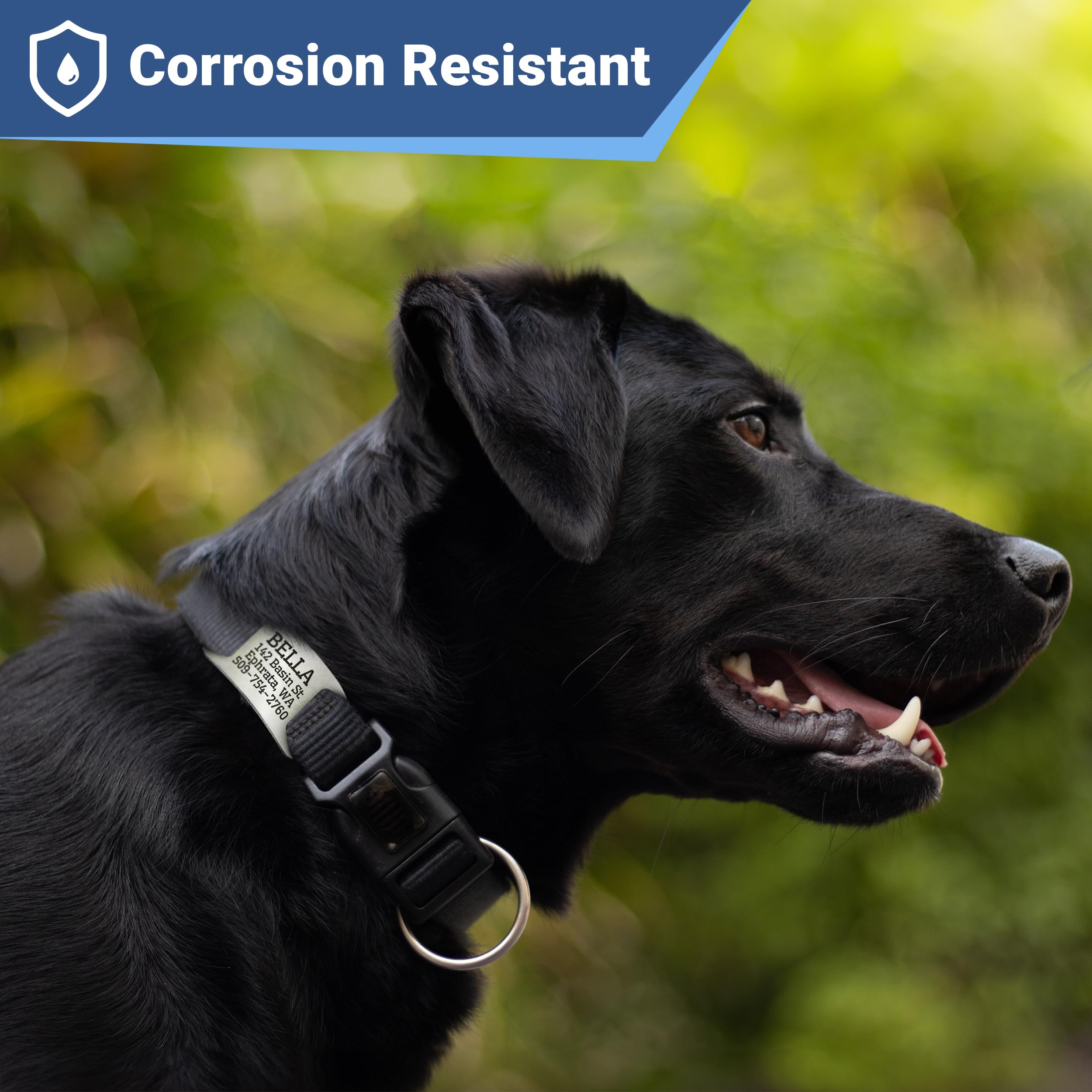 GoTags design confort-cou pour le confort du cou de l'animal.