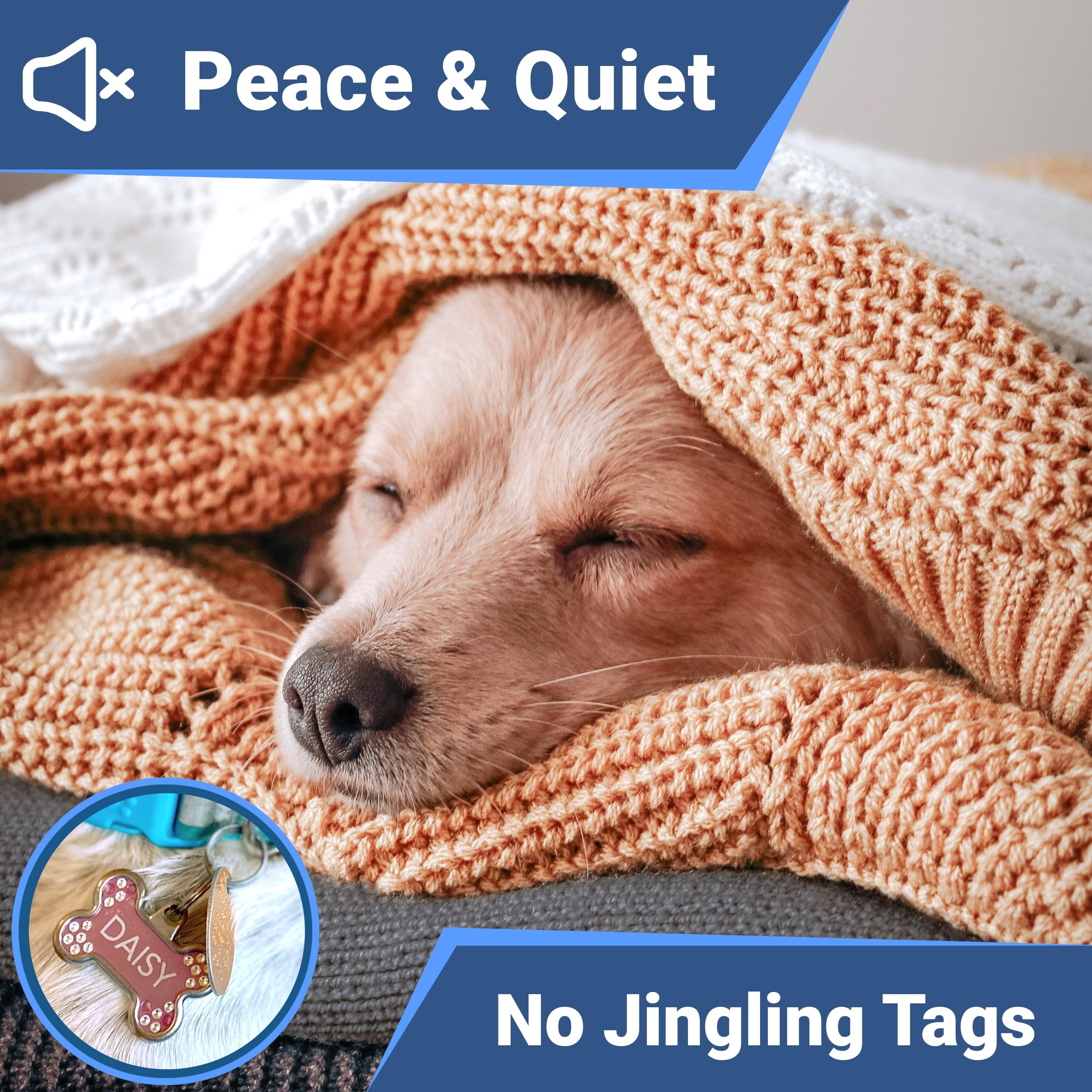 GoTags tag tailles petit et standard, adapté à tous les animaux.