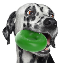 Jouet Goughnuts: anneau durable pour chien pendant la mastication.