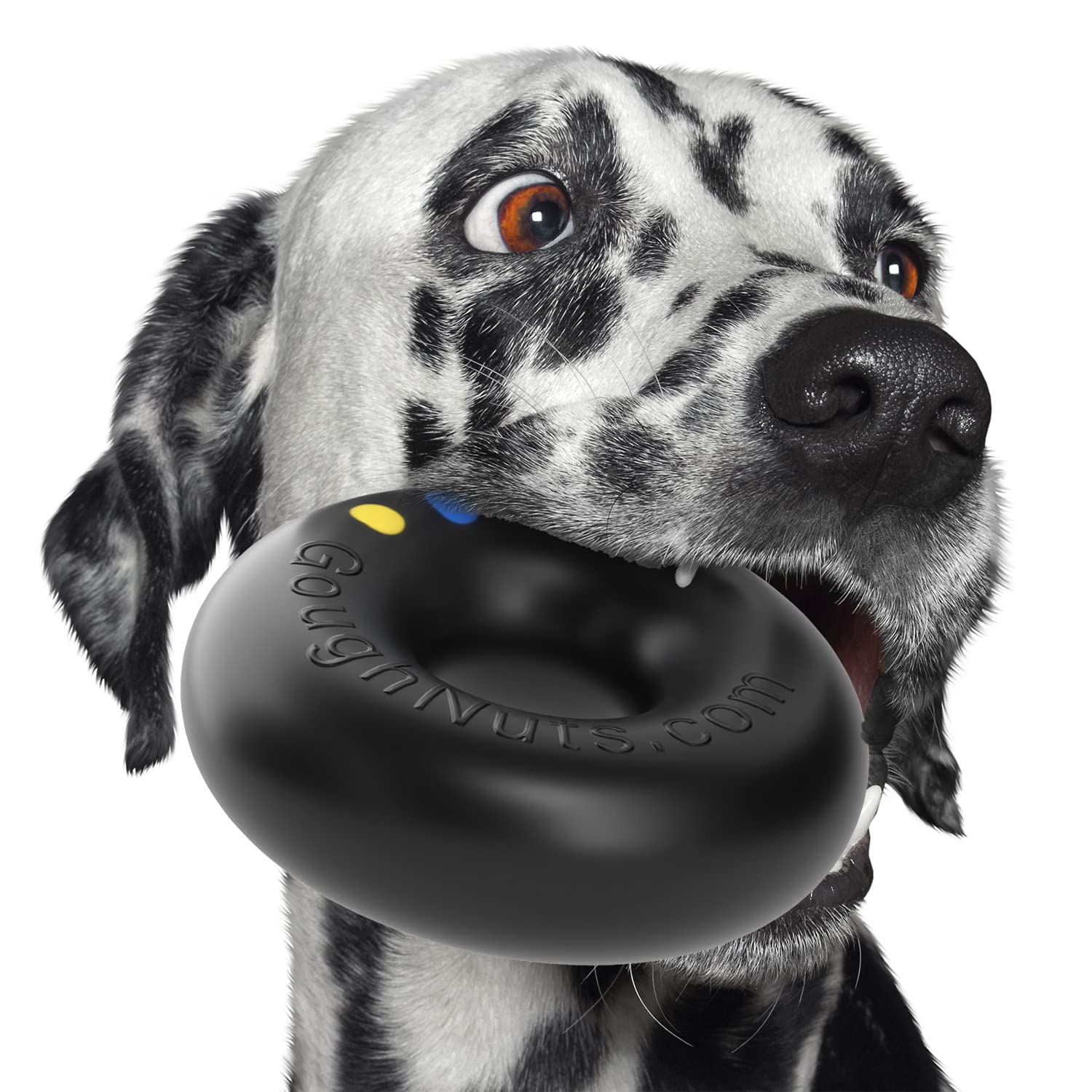 Goughnuts : chien grand en action, jouet robuste et divertissant.