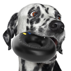 Goughnuts : chien grand en action, jouet robuste et divertissant.