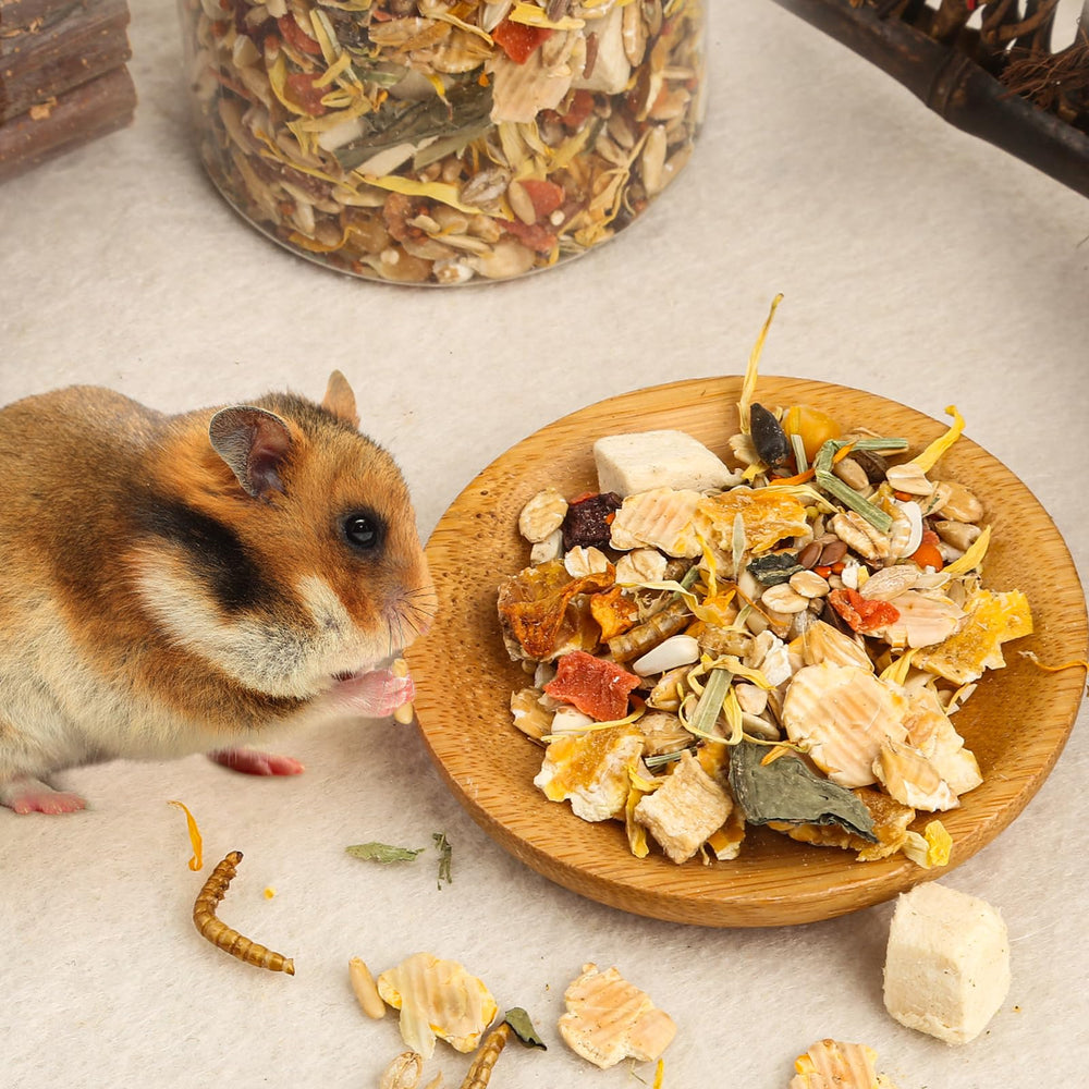 Portion quotidienne recommandée de 10 g pour Gourmet Hamster & Gerbil