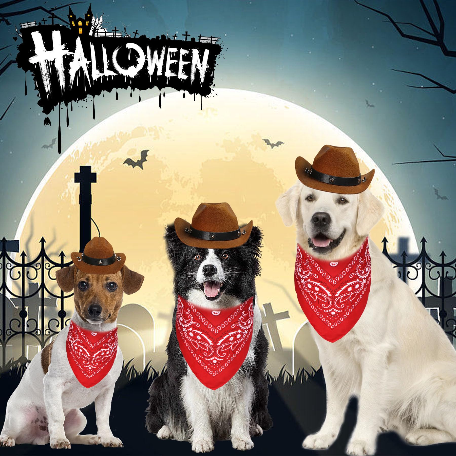 Costume chien Halloween GOYOSWA, ensemble chapeau et bandana