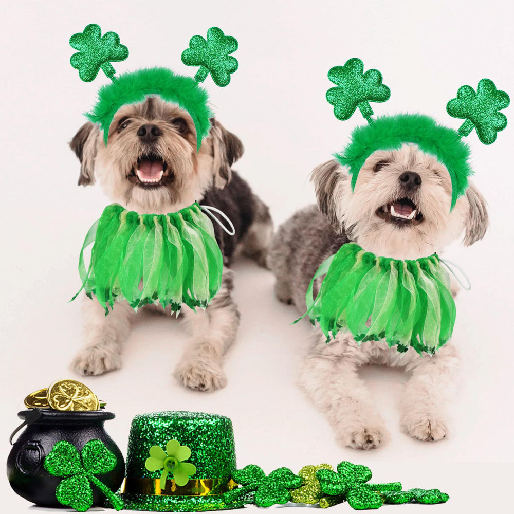 GOYOSWA emballage ensemble Saint-Patrick, idée cadeau pour chien