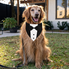 Matière polyester douce du smoking GOYOSWA pour chien, confort et simplicité d'entretien