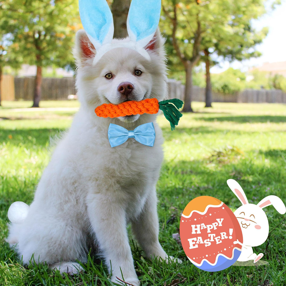 GOYOSWA noeud-papillon bleu, collier ajustable pour chien.