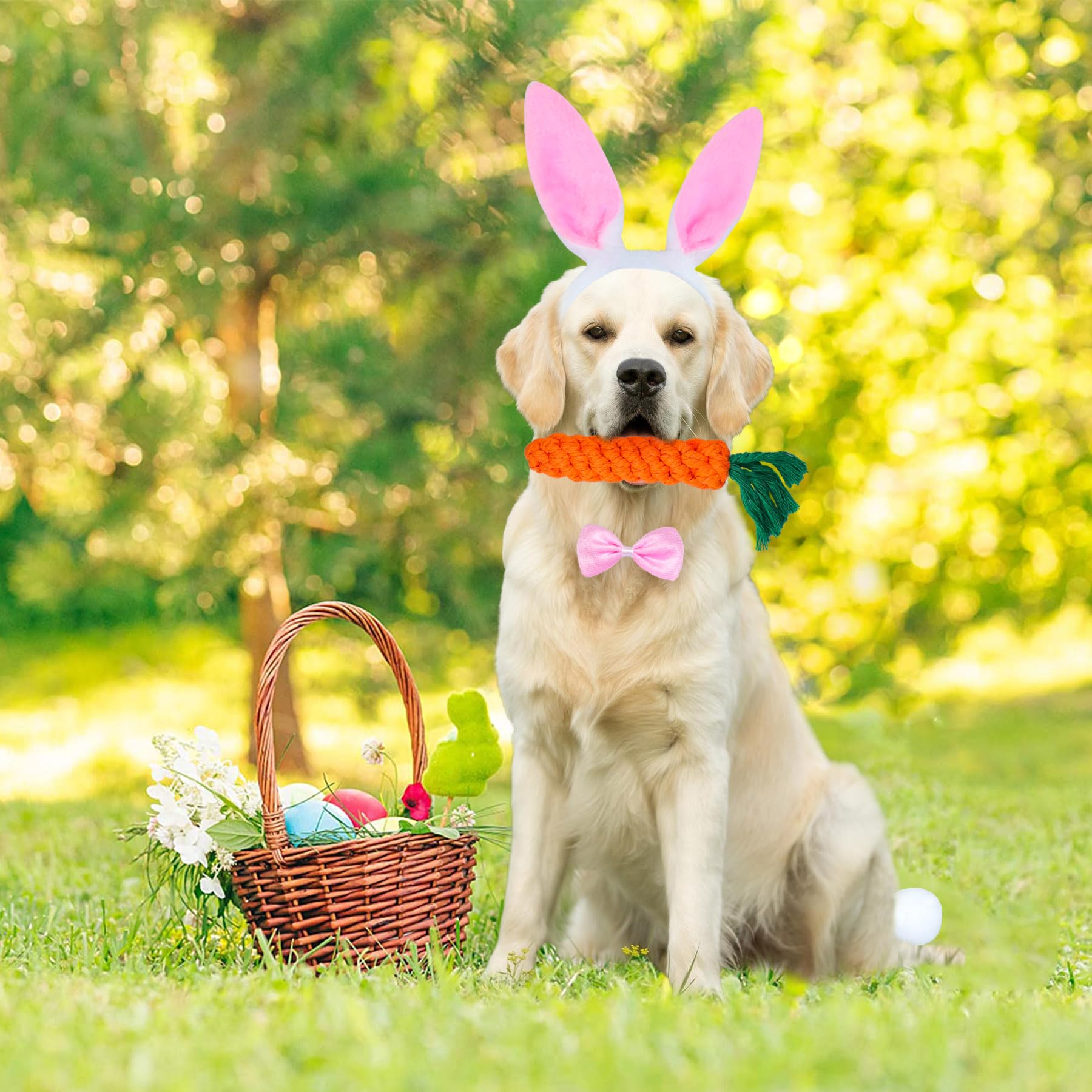 GOYOSWA noeud papillon pour chien, ajustable et élégant pour Pâques.