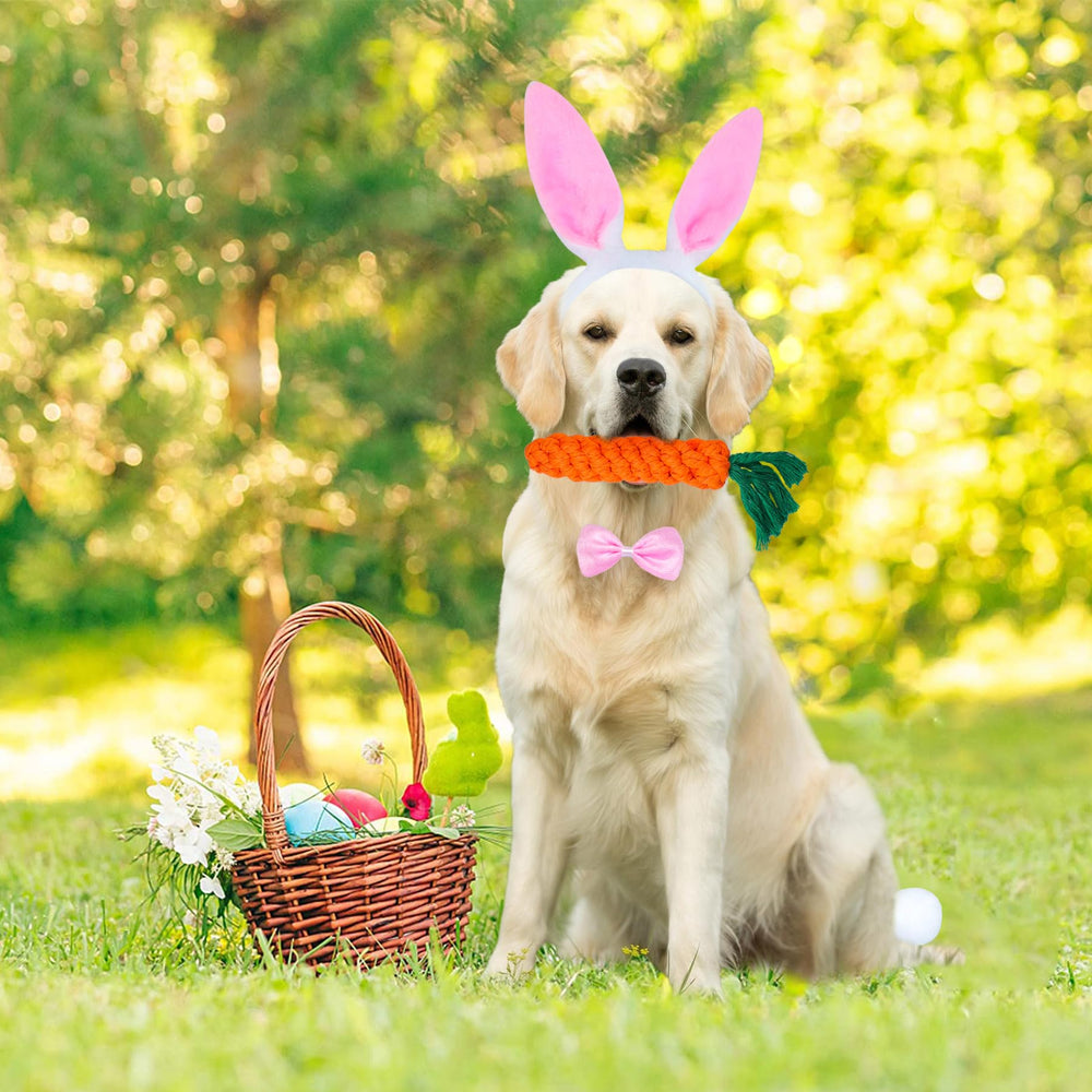 GOYOSWA noeud papillon pour chien, ajustable et élégant pour Pâques.