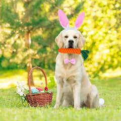 GOYOSWA noeud papillon pour chien, ajustable et élégant pour Pâques.