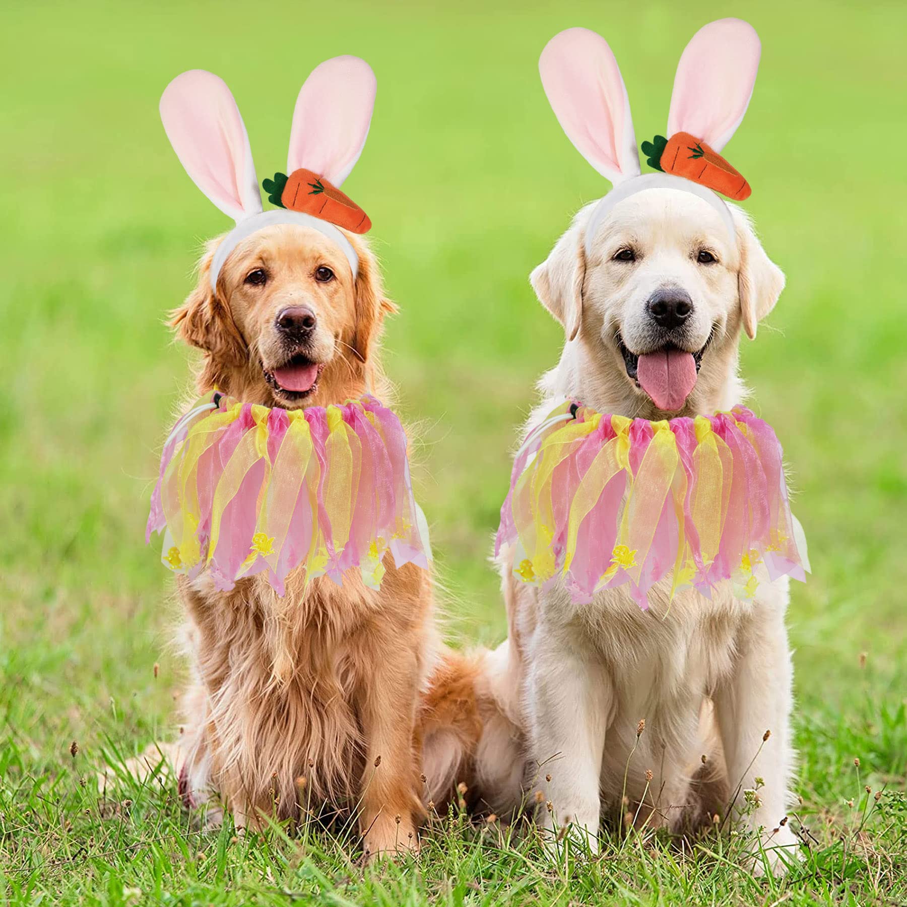 Scène photo de Pâques avec le chien portant la tenue GOYOSWA.