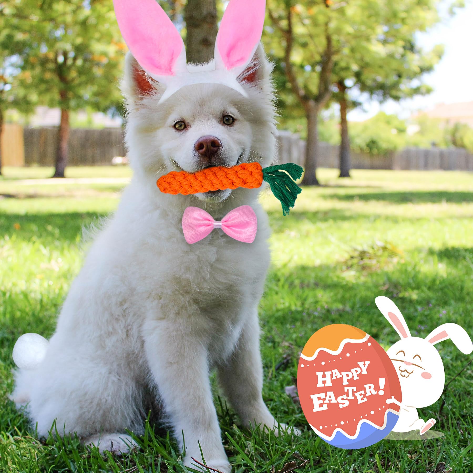 GOYOSWA tenue Pâques chien photo, pratique et légère.