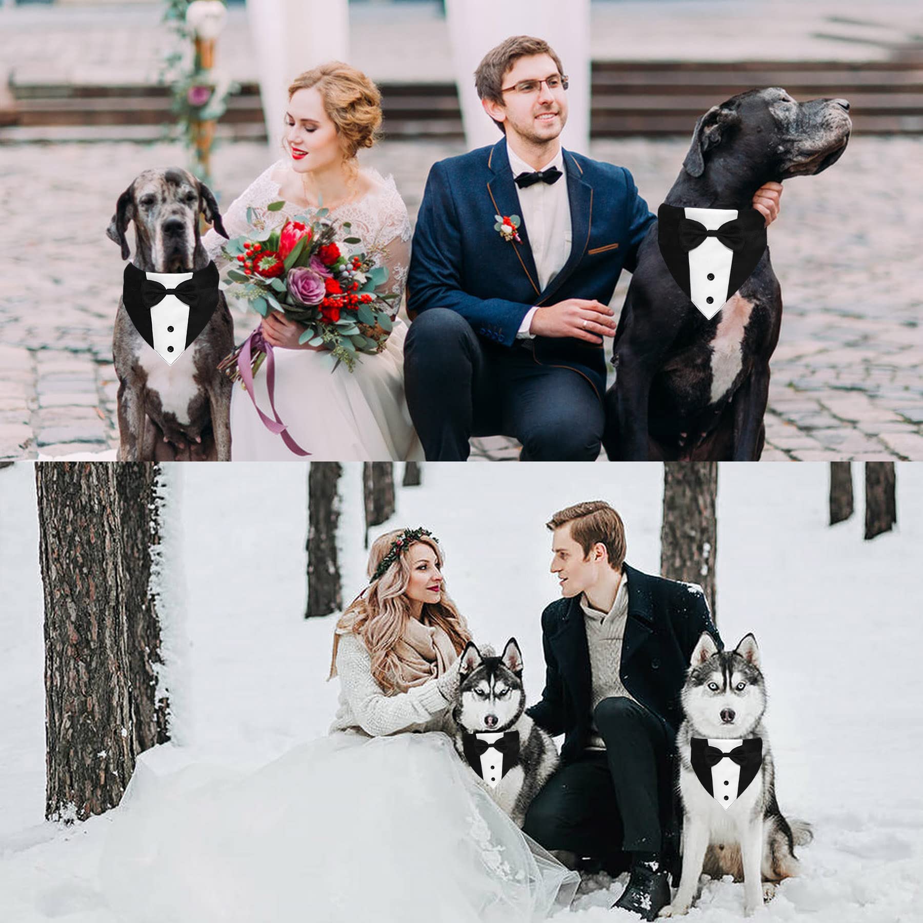 GOYOSWA tenue coordonnée chien et maître pour photos.