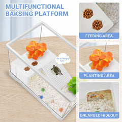 GOZILLA Mini tortue kit plantes décoratives – ambiance naturelle et stimulante pour les animaux.