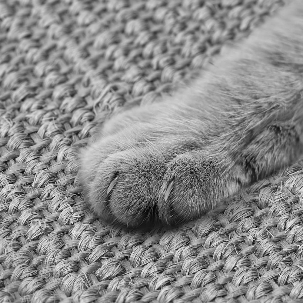 Graciadeco tapis-grattoir sisal anti-glisse, installation rapide et sûre.
