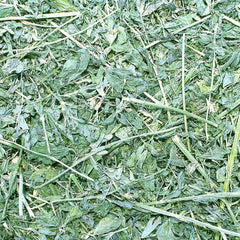 Grandpa's Best foin d'alfalfa, protéine faible utile dans un régime équilibré.