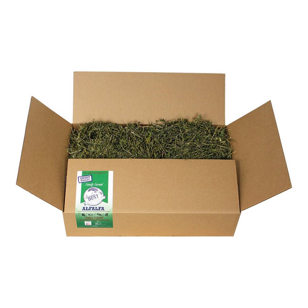 Grandpa's Best foin d'alfalfa pour lapins, bal long, complément nutritionnel.