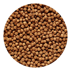 Granules cichlide dore mini en bol: nourrir facilement votre poisson