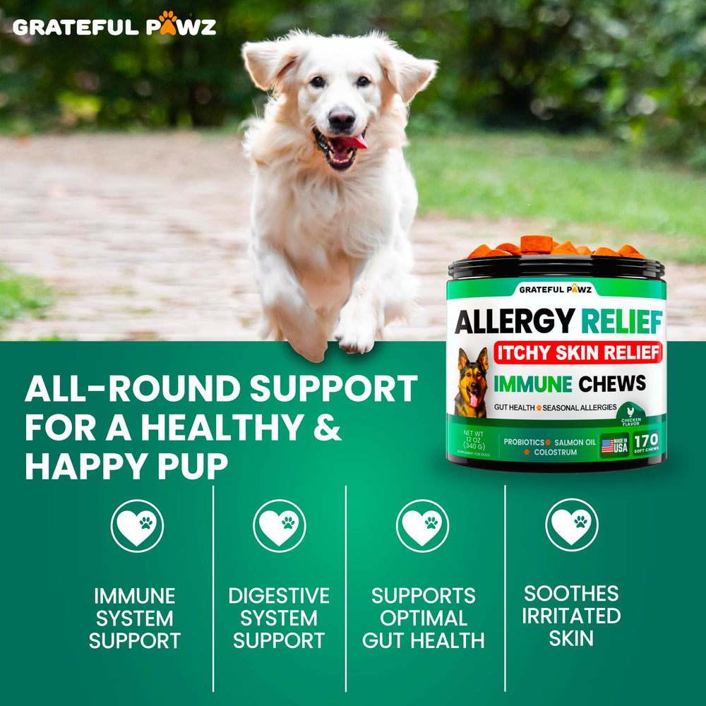 Grateful Pawz chien appétit savoureux, friandise agréable et adaptée à tous.