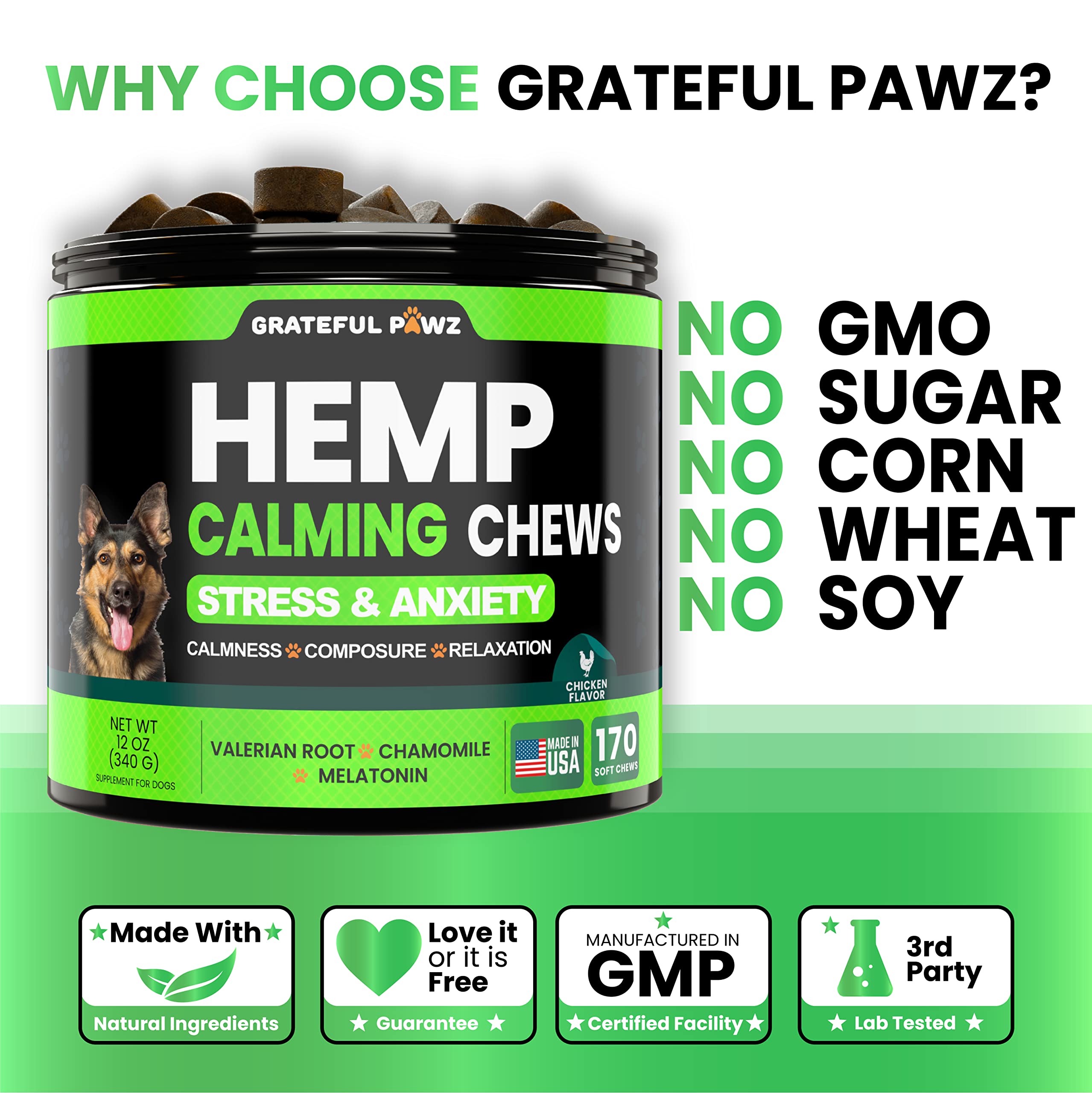 Chien calme sur le canapé après avoir reçu Grateful Pawz.