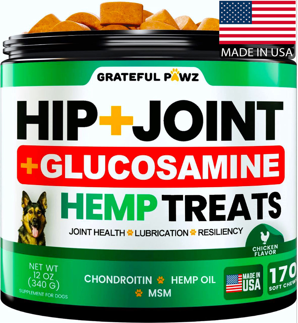 Grateful Pawz – complément hanche et articulation pour chien, soutien mobilité.