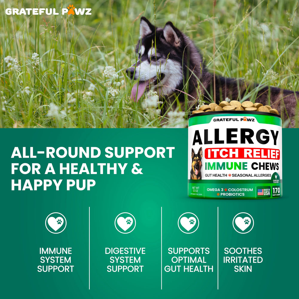 Fabriqué aux États‑Unis Grateful Pawz: formulation naturelle sans additifs.