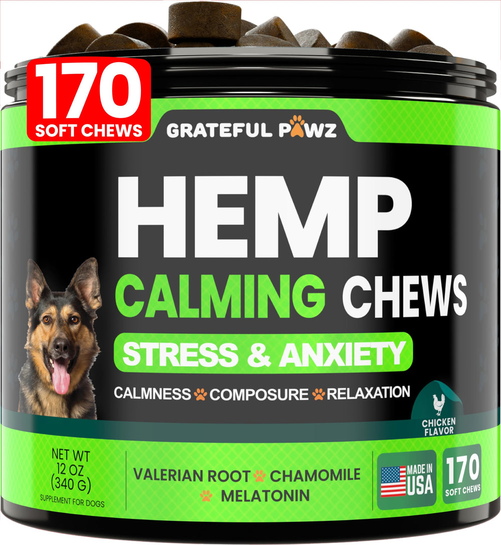 Friandises calmantes Grateful Pawz au chanvre dans un flacon, pour un chien plus serein.