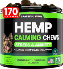Friandises calmantes Grateful Pawz au chanvre dans un flacon, pour un chien plus serein.