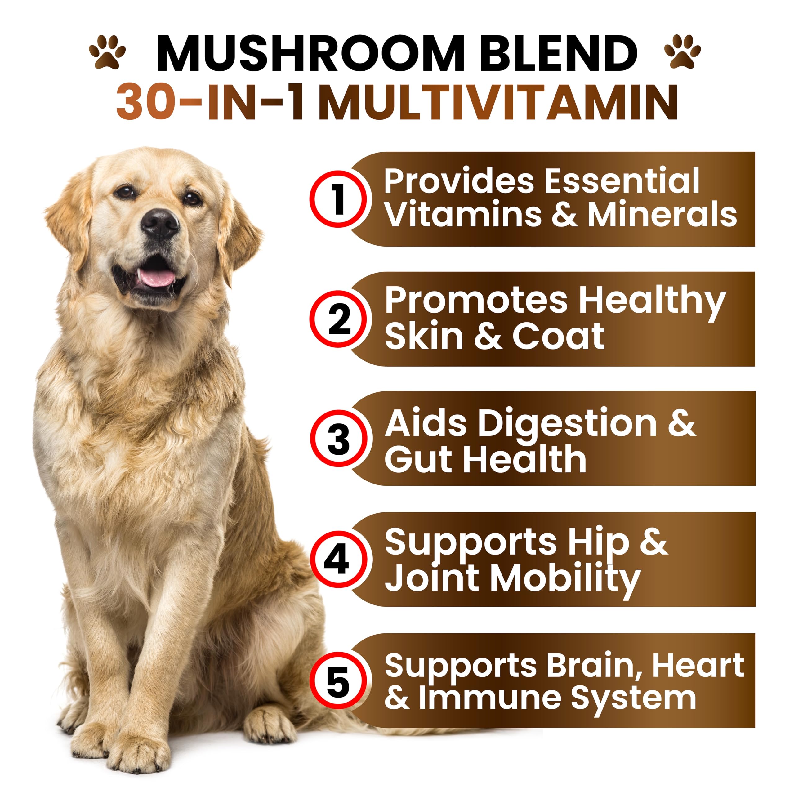 Grateful Pawz: gommes chien champignons criniere-de-lion, peau saine et pelage brillant.