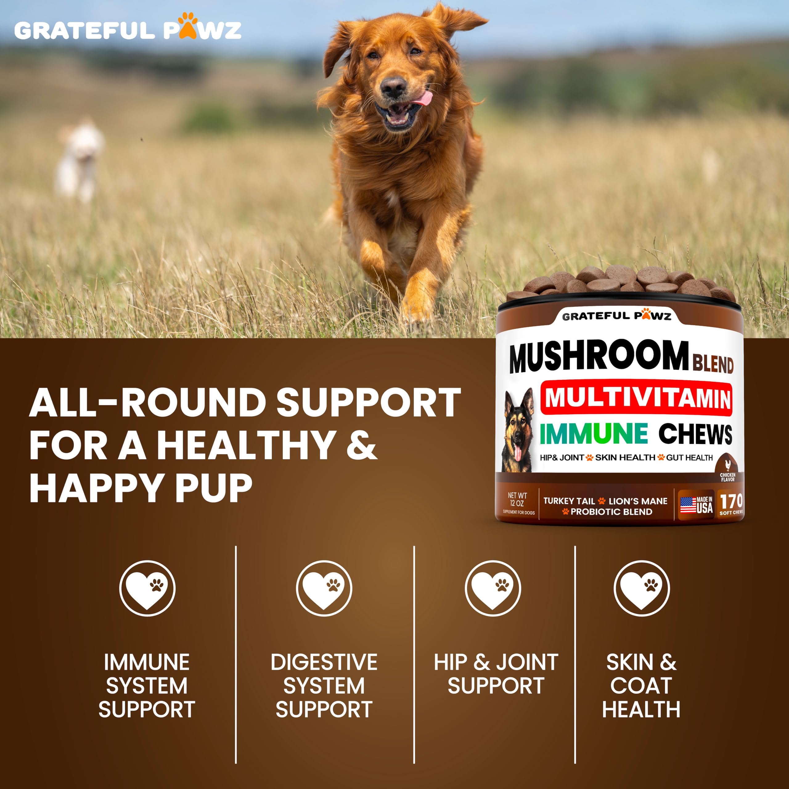 Grateful Pawz: gommes glucosamine chien, soutien mobilité et articulations.