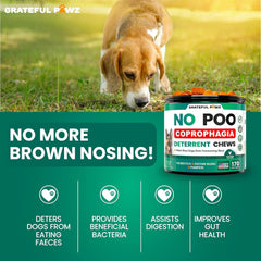 Grateful Pawz – formule probiotique et enzymes, soutien digestif global pour chien.