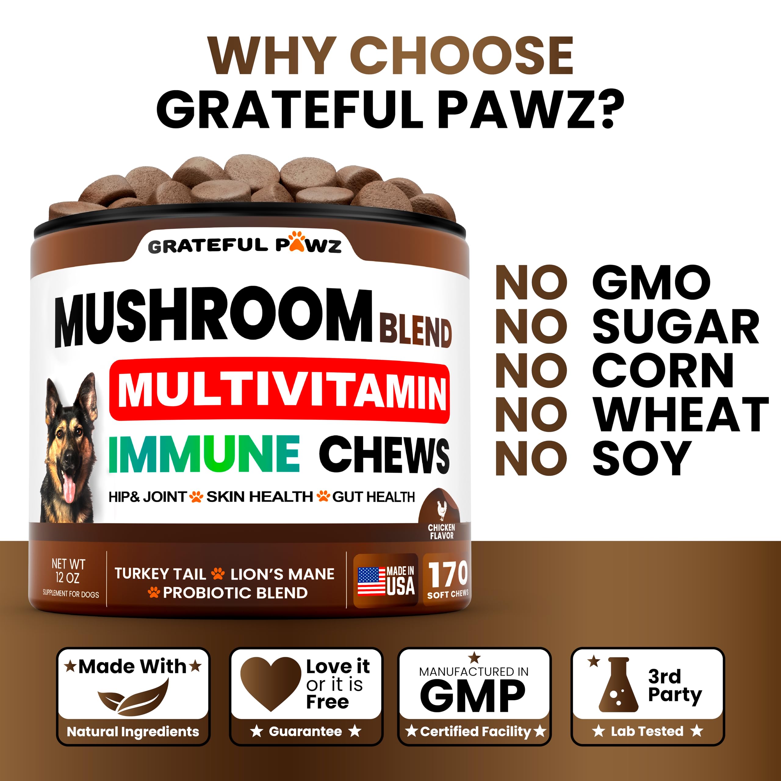 Grateful Pawz: huile oméga-3 saumon, peau saine et pelage brillant chez le chien.