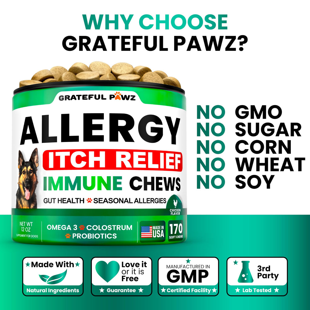 Ingrédients naturels Grateful Pawz: curcuma, colostrum et quercétine.