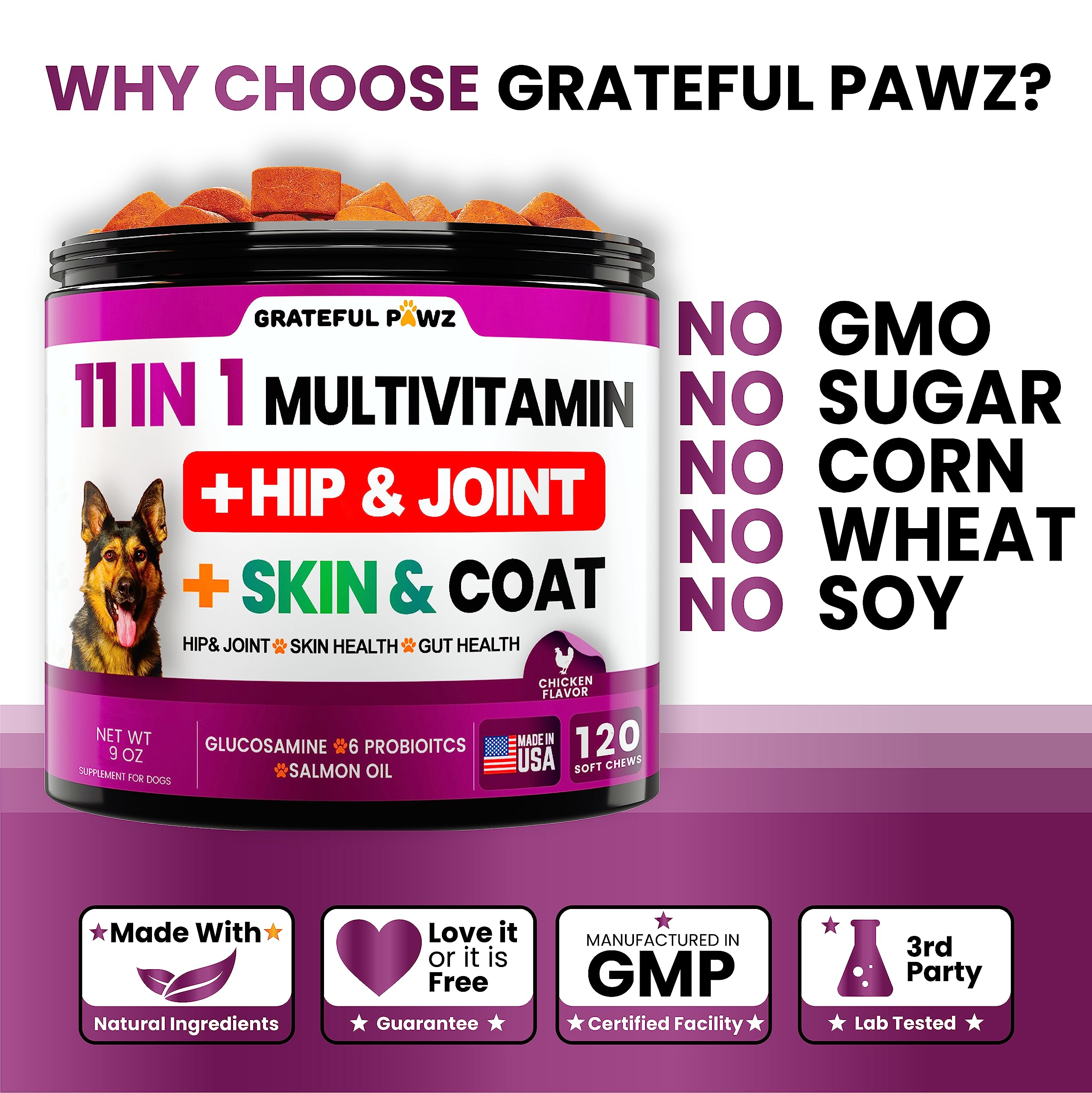 Grateful Pawz soutien articulations – image montrant mobilité et aisance