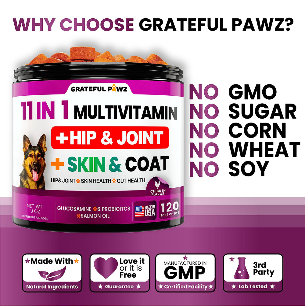 Grateful Pawz soutien articulations – image montrant mobilité et aisance