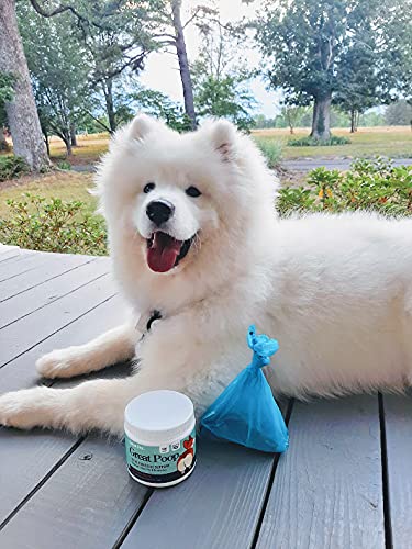 Great Poop Probiotics guide de dosage clair pour les portions quotidiennes