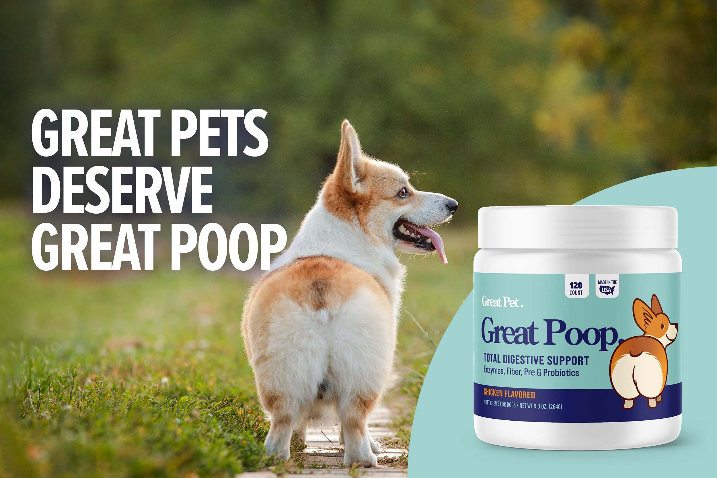Great Poop Probiotics deux milliards d’unités pour la flore intestinale