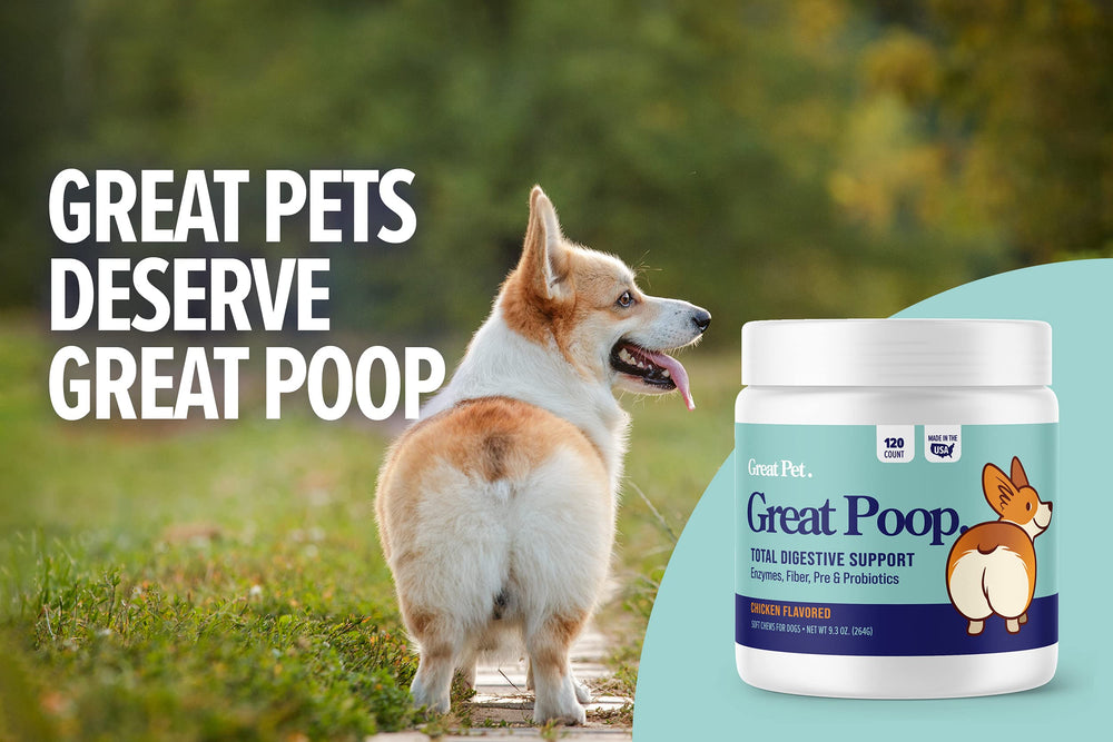 Great Poop Probiotics deux milliards d’unités pour la flore intestinale