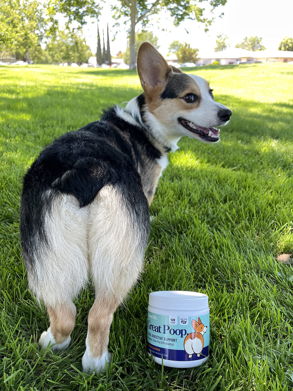 Great Poop Probiotics sans maïs ni soja, ingrédients simples et sûrs