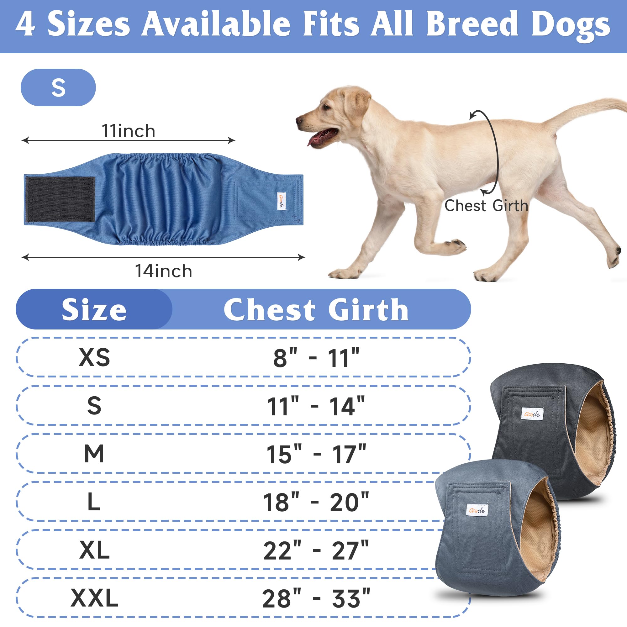 Grecle bandes ventrales mâle chien: confort et sécurité lors de l'apprentissage.